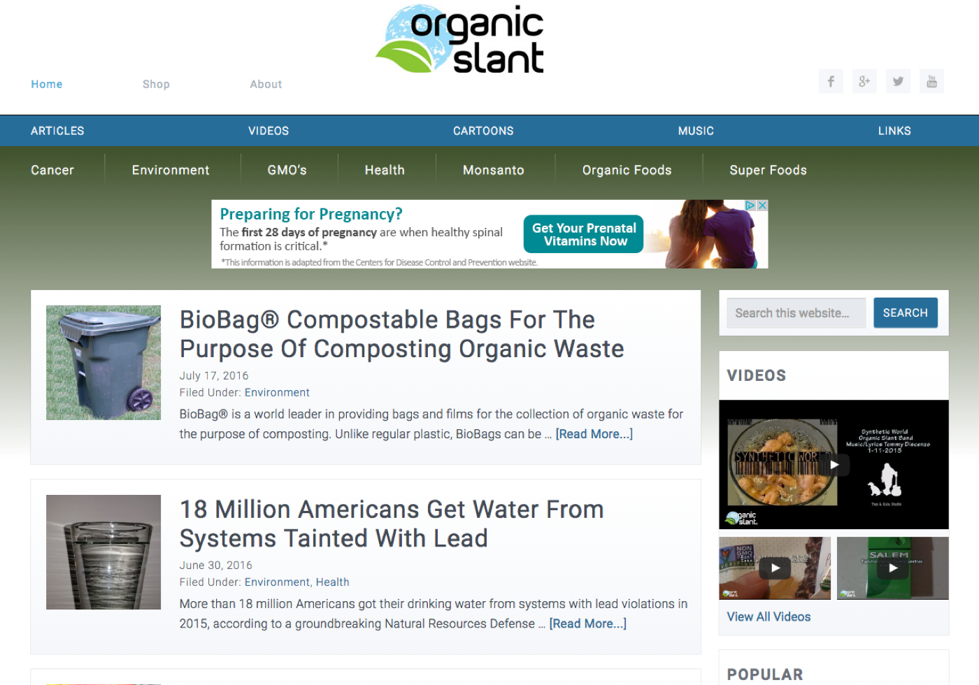 Organic Slant Web Design and Development | Maui Web Design | Kris Jolls | Web Designer